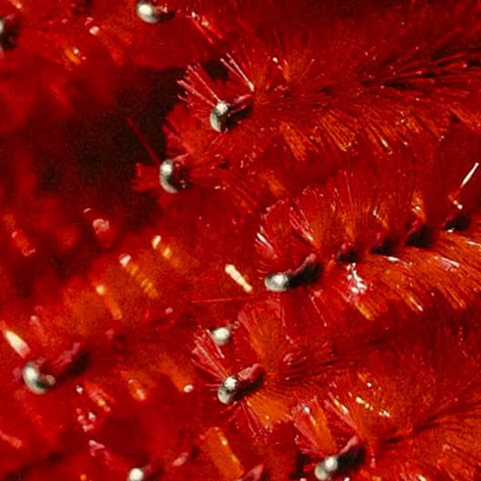 Lash maintenance package at Merkaba Maintenance in Orange Park, FL